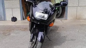Kawasaki ZZR 1100 (1989 - 01)  (7)