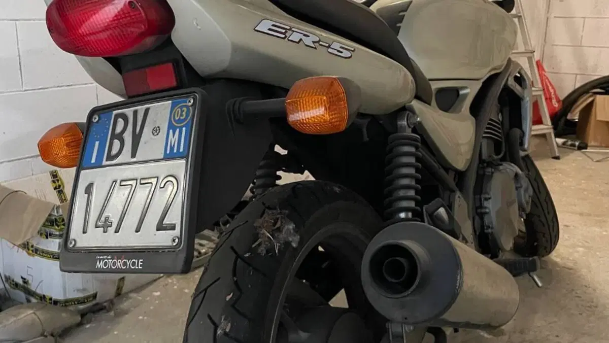 Kawasaki ER-5 500 (2001 - 06)  (2)