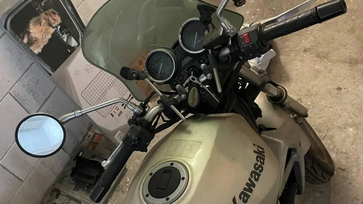 Kawasaki ER-5 500 (2001 - 06)  (3)