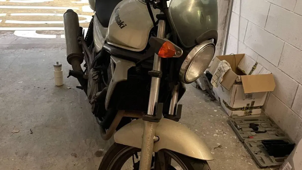 Kawasaki ER-5 500 (2001 - 06)  (4)