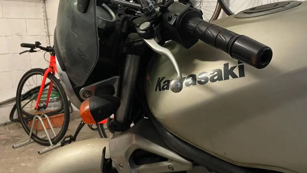Kawasaki ER-5 500 (2001 - 06)  (5)