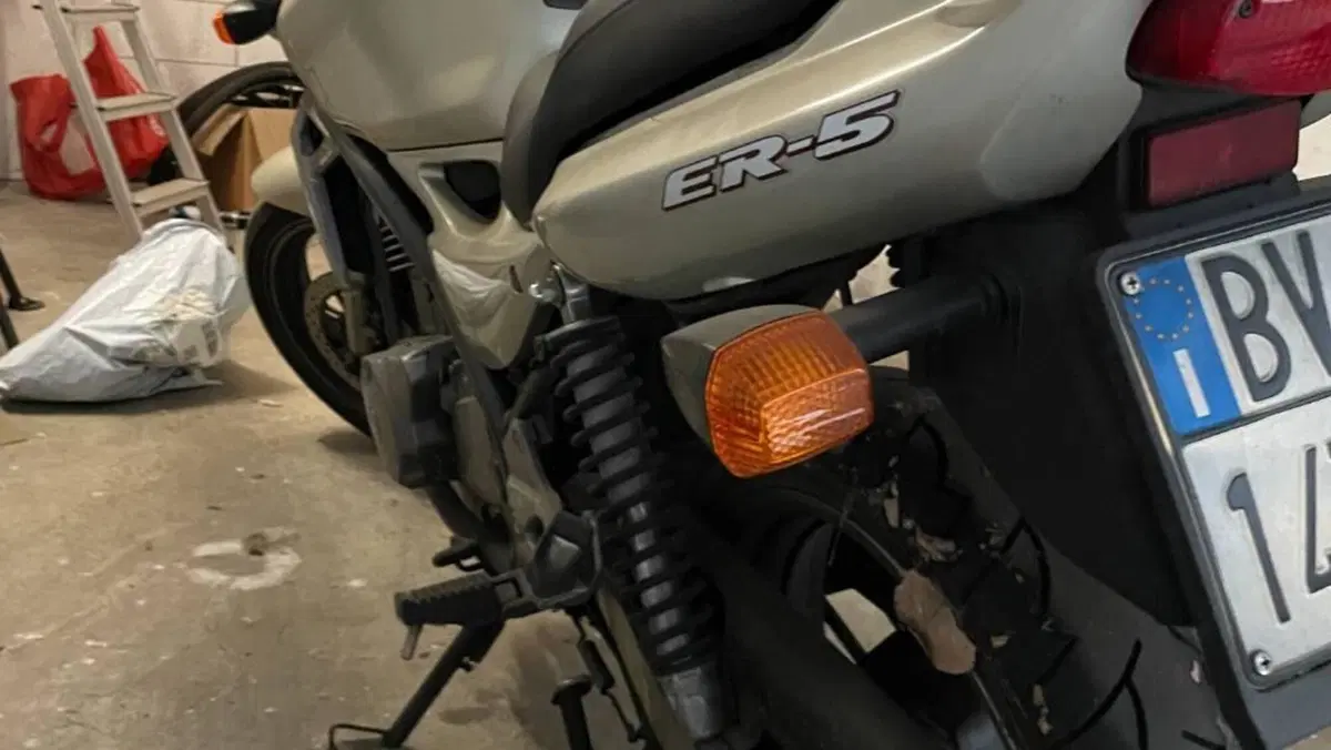 Kawasaki ER-5 500 (2001 - 06)  (6)