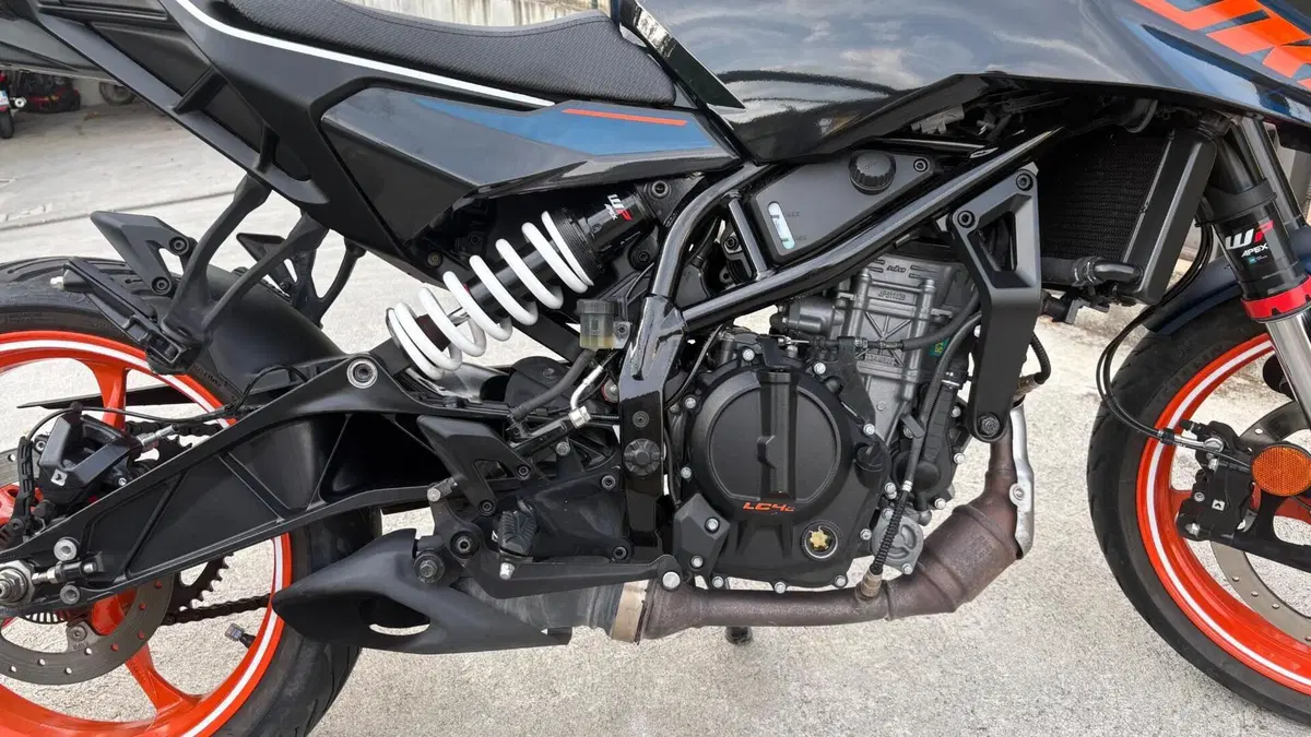 KTM 125 Duke (2024 - 25)  (6)