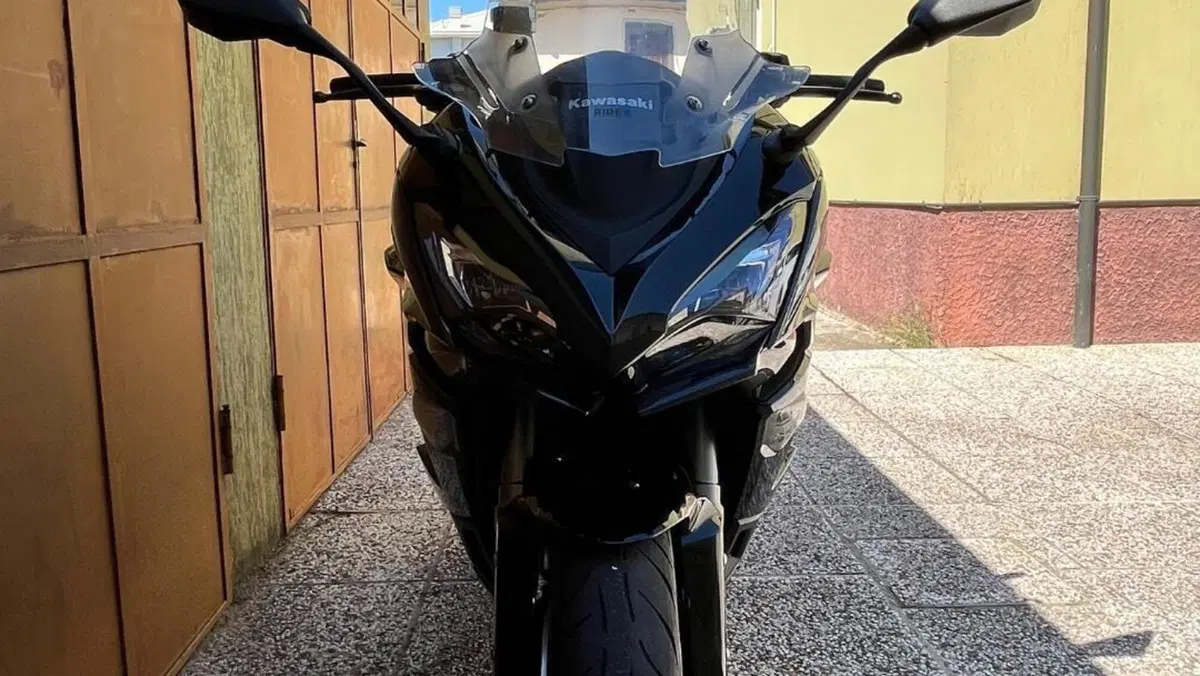 Kawasaki Ninja 1000 SX Tourer (2021 - 24)  (7)