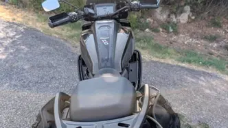 Harley-Davidson Pan America 1250 (2020 - 25) usata