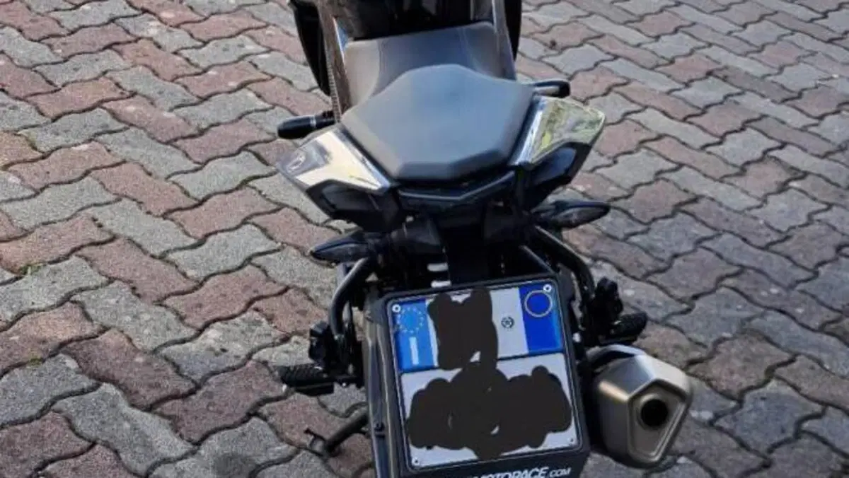CFMOTO 300NK (2021 - 26)  (3)