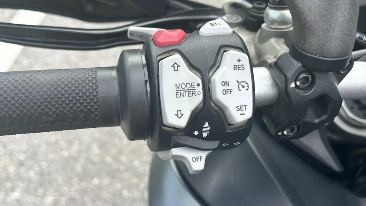 Ducati Multistrada 1260 S (2018 - 20)  (4)