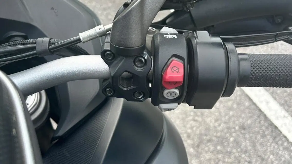 Ducati Multistrada 1260 S (2018 - 20)  (5)