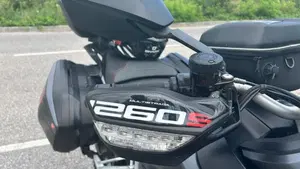 Ducati Multistrada 1260 S (2018 - 20)  (10)