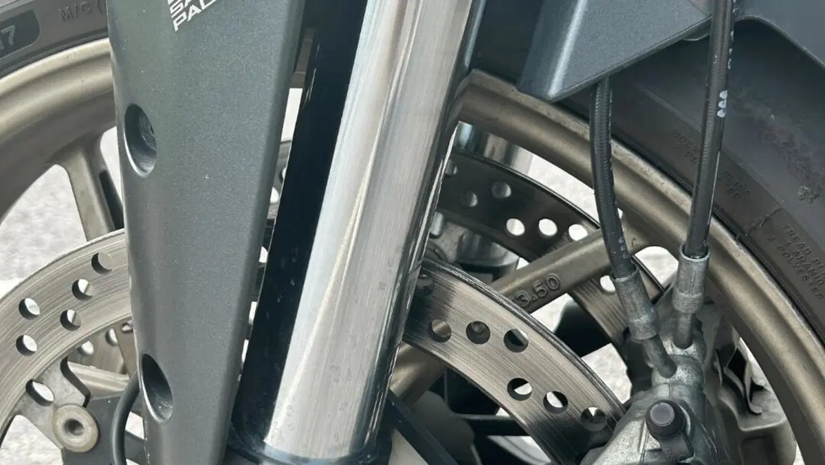 Ducati Multistrada 1260 S (2018 - 20)  (14)
