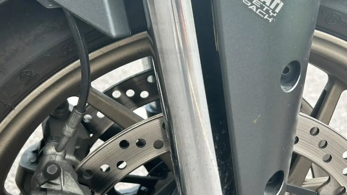 Ducati Multistrada 1260 S (2018 - 20)  (15)