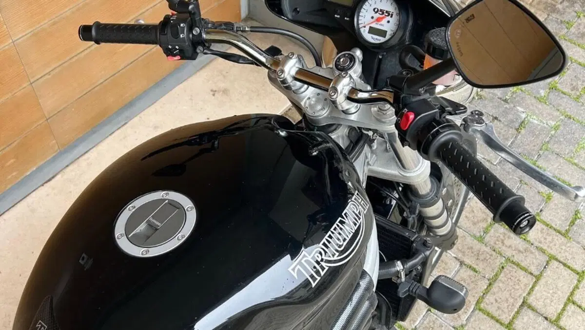 Triumph Speed Triple 955 (2002 - 04)  (2)