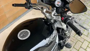 Triumph Speed Triple 955 (2002 - 04)  (2)