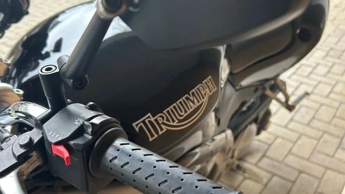 Triumph Speed Triple 955 (2002 - 04)  (3)