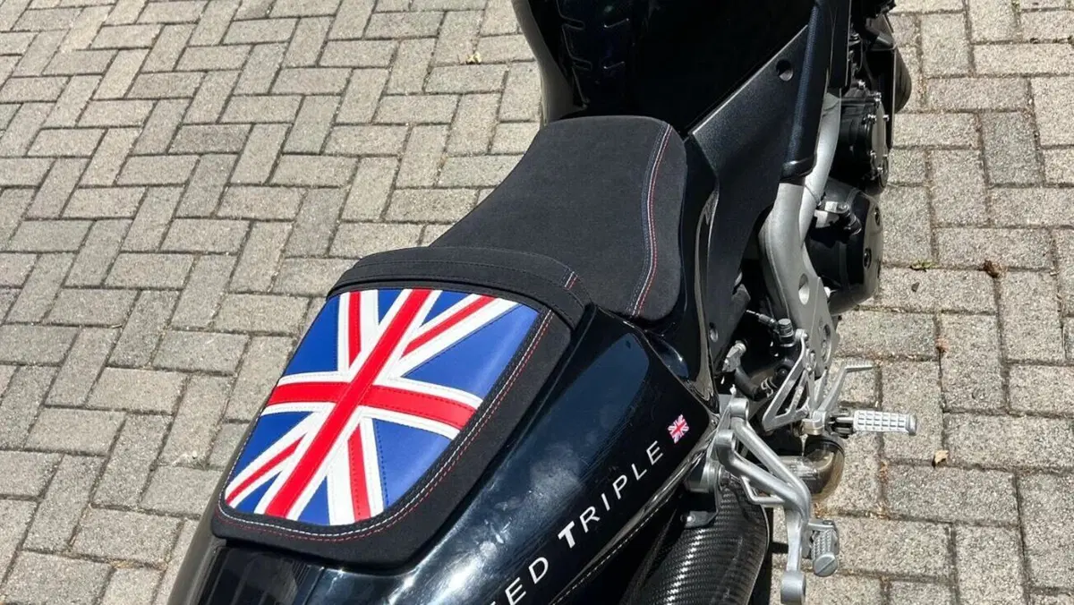 Triumph Speed Triple 955 (2002 - 04)  (4)