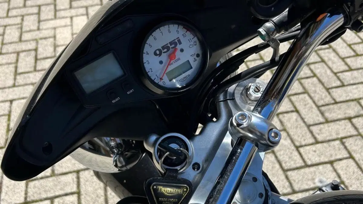 Triumph Speed Triple 955 (2002 - 04)  (5)
