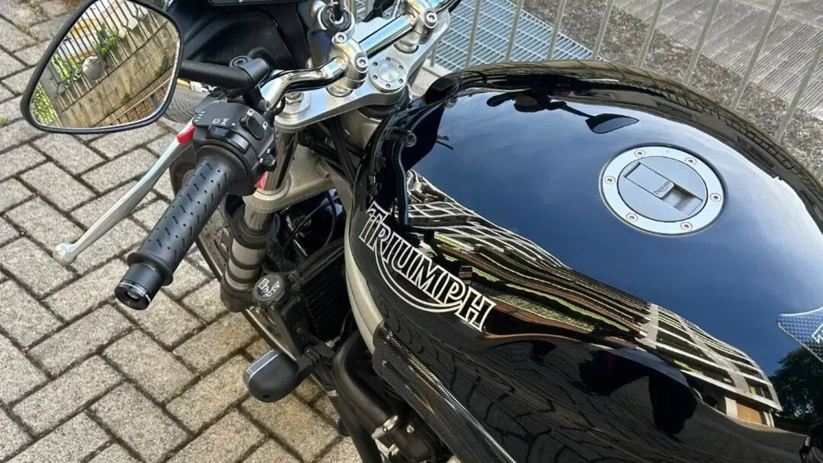 Triumph Speed Triple 955 (2002 - 04)  (6)