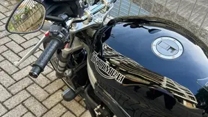 Triumph Speed Triple 955 (2002 - 04)  (6)