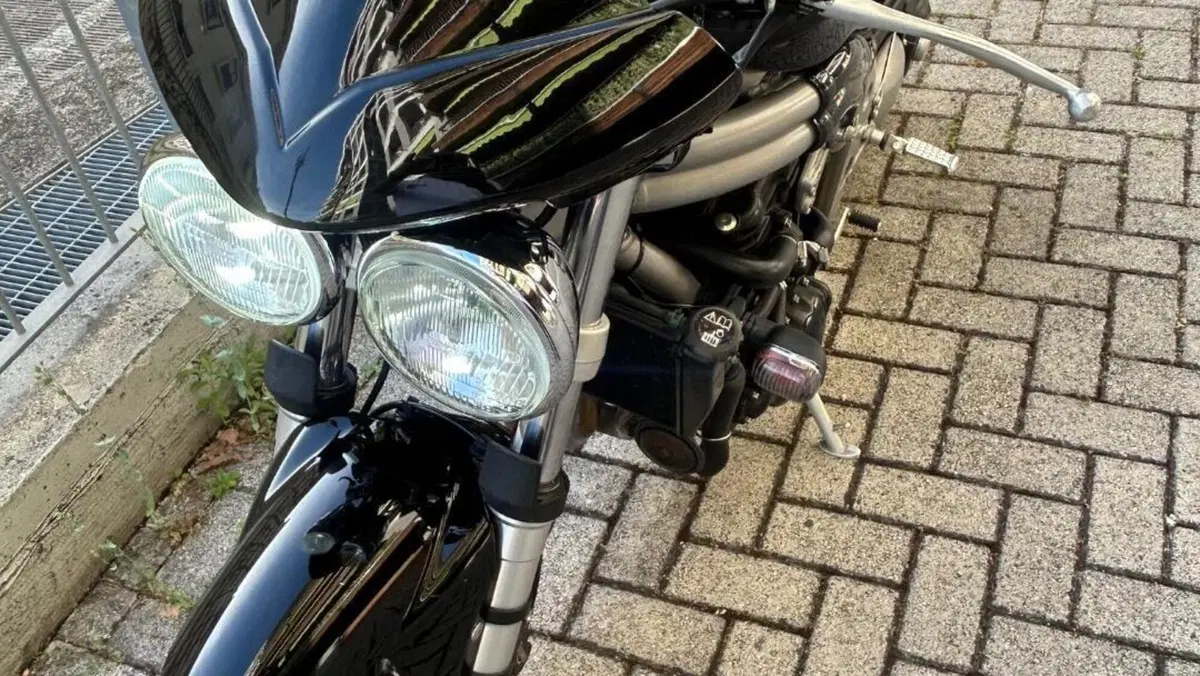 Triumph Speed Triple 955 (2002 - 04)  (7)