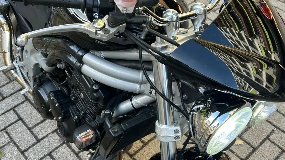 Triumph Speed Triple 955 (2002 - 04)  (9)