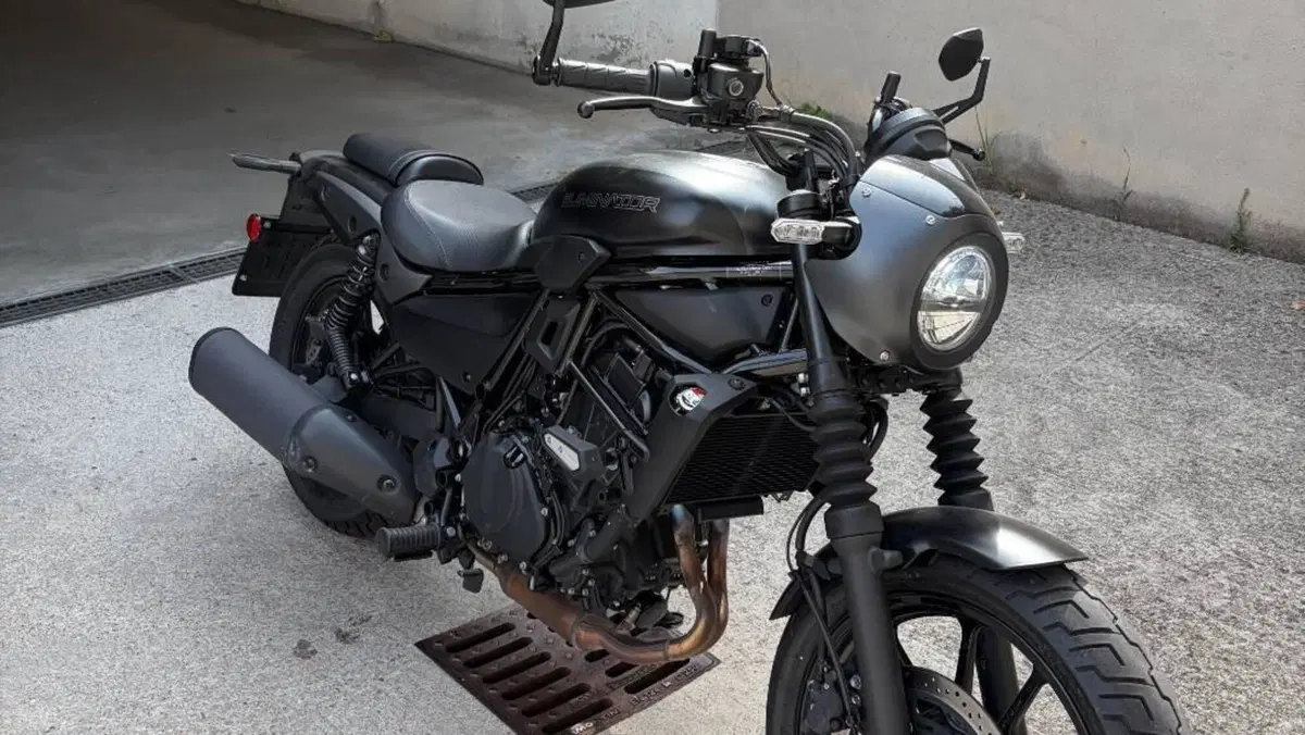 Kawasaki Eliminator 500 SE (2024 - 26)  (3)