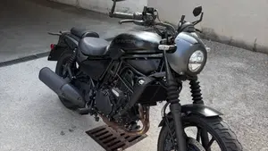 Kawasaki Eliminator 500 SE (2024 - 26)  (3)