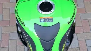 Kawasaki Ninja 1000 ZX-10R KRT Replica (2019 - 20)  (4)