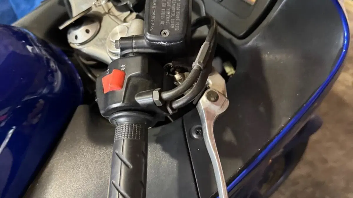 Honda CBR 1100 XX  (2001 - 06)  (8)