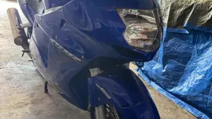 Honda CBR 1100 XX  (2001 - 06)  (10)