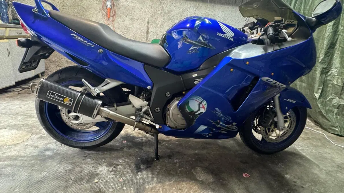 Honda CBR 1100 XX  (2001 - 06)  (16)