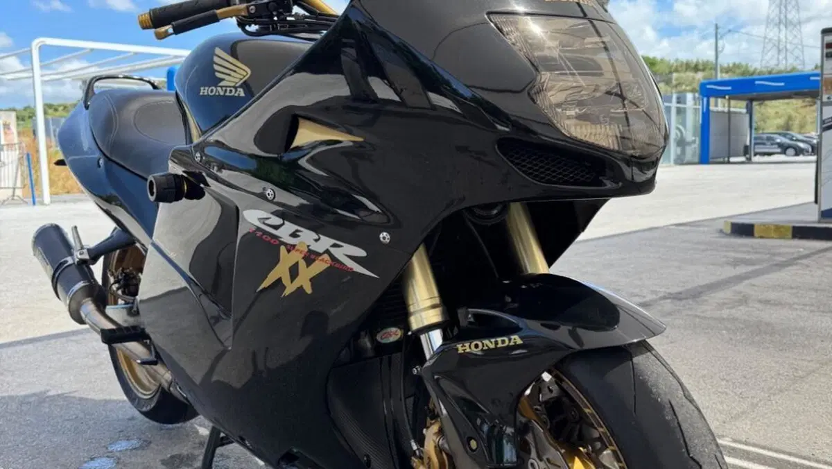 Honda CBR 1100 XX Superblackbird (1996 - 98)  (6)