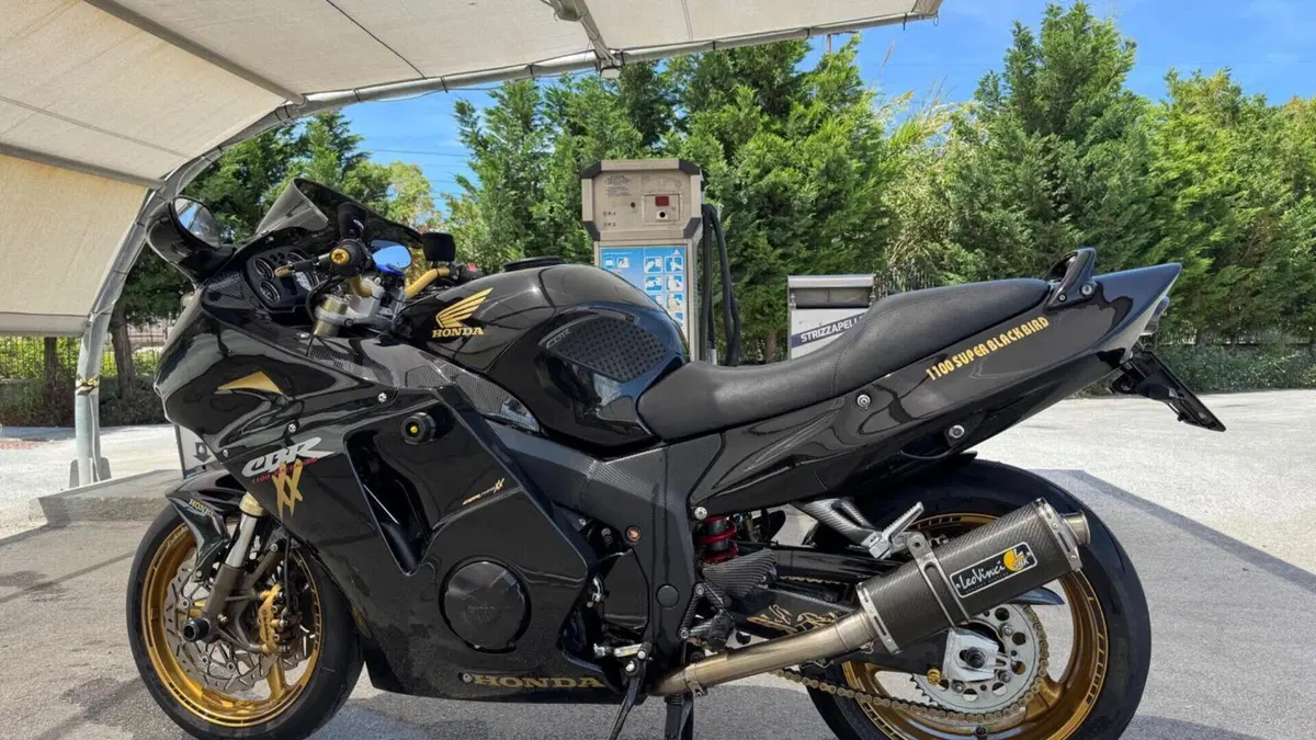Honda CBR 1100 XX Superblackbird (1996 - 98)  (7)