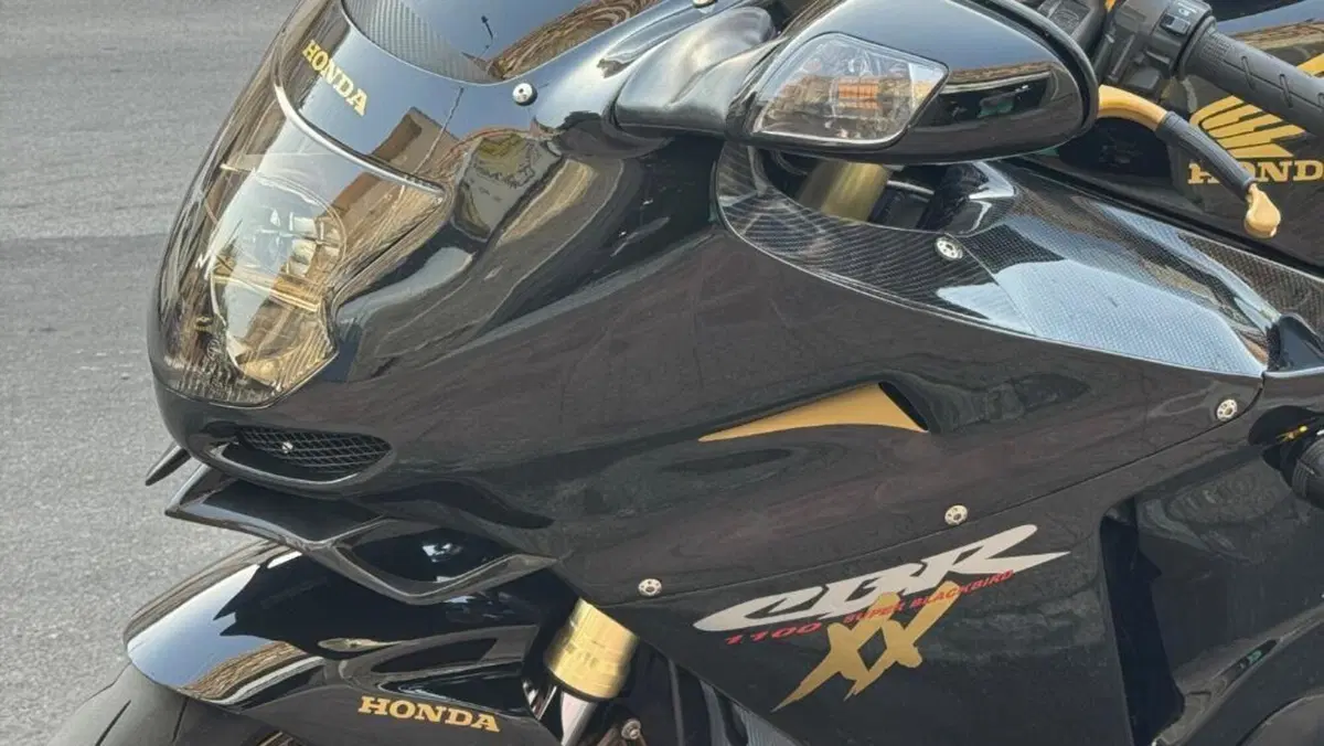 Honda CBR 1100 XX Superblackbird (1996 - 98)  (18)