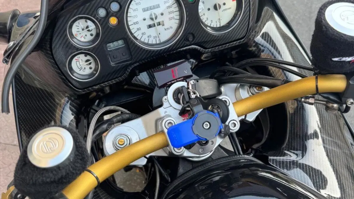 Honda CBR 1100 XX Superblackbird (1996 - 98)  (20)