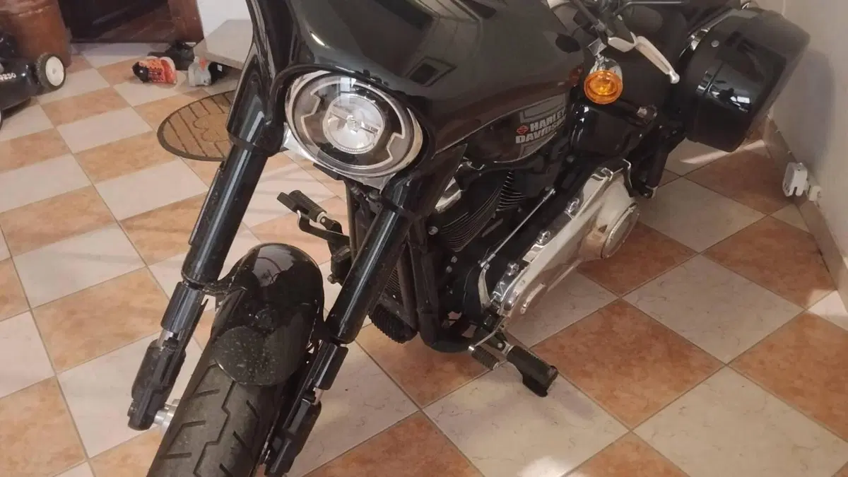 Harley-Davidson Sport Glide (2021 - 25)  (3)