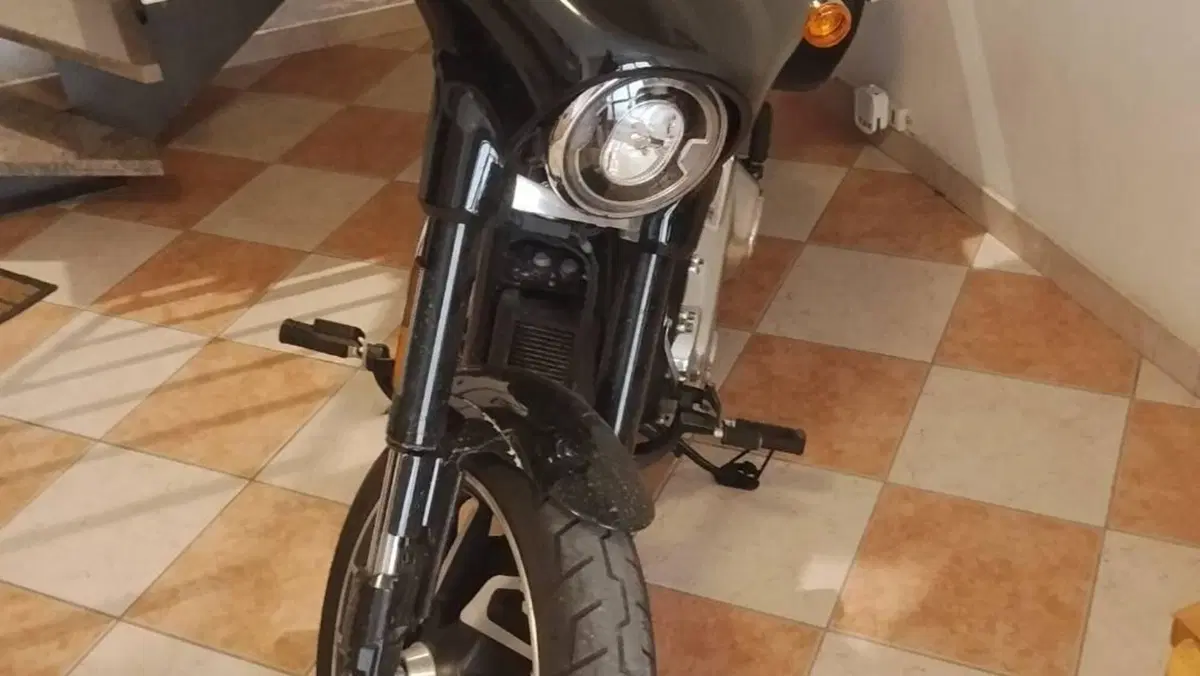 Harley-Davidson Sport Glide (2021 - 25)  (4)
