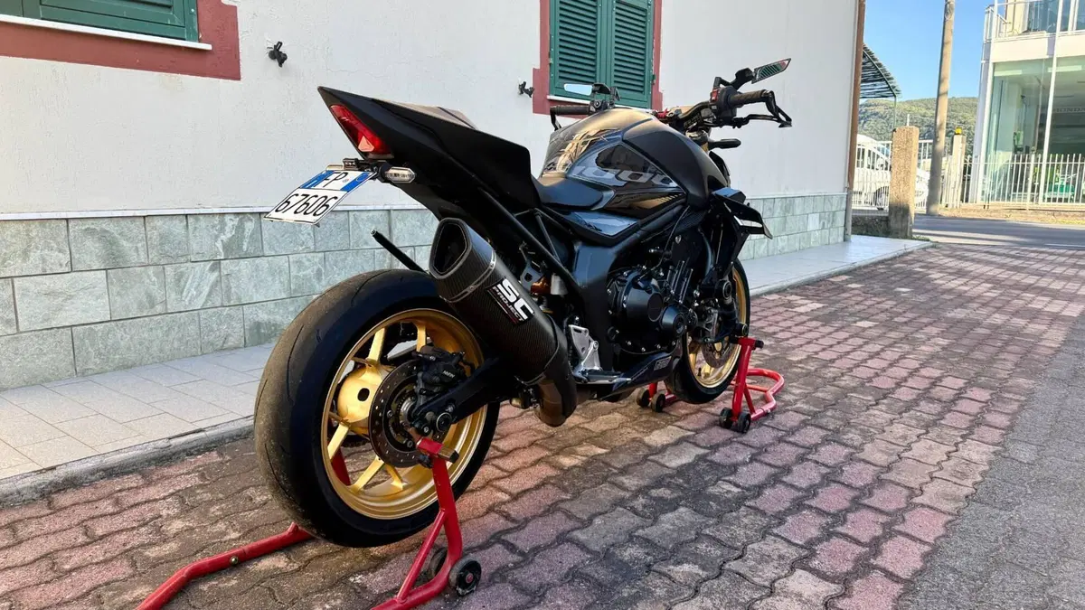 Honda CB 1000 Hornet SP (2025 - 26)  (3)