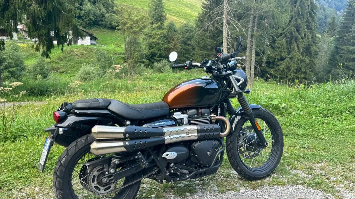 Triumph Scrambler 900 Stealth Edition (2024)  (2)