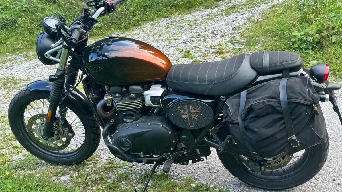 Triumph Scrambler 900 Stealth Edition (2024)  (3)