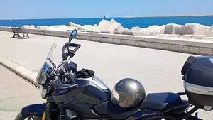 Bmw R 1200 R (2015 - 16)  (2)