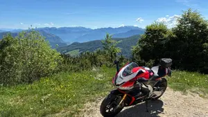 Aprilia RSV4 1100 Factory (2021 - 24)  (9)