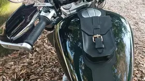 Royal Enfield Super Meteor 650 (2023 - 26)  (3)