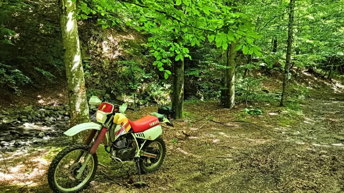Yamaha TT 350 S (1990 - 95) 