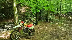 Yamaha TT 350 S (1990 - 95) 