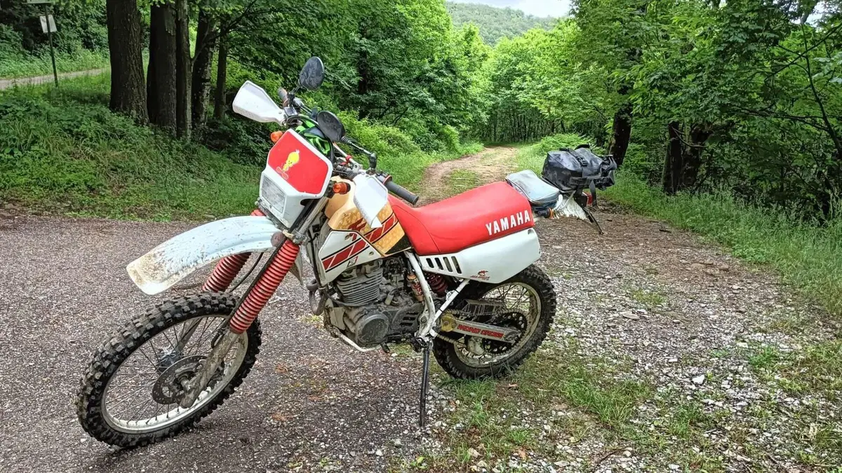 Yamaha TT 350 S (1990 - 95)  (2)