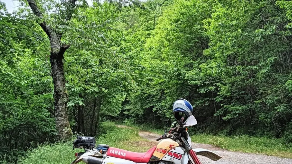 Yamaha TT 350 S (1990 - 95)  (3)