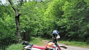 Yamaha TT 350 S (1990 - 95)  (3)