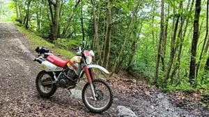 Yamaha TT 350 S (1990 - 95)  (4)