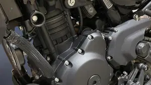 Royal Enfield Himalayan 450 (2024 - 26)  (5)