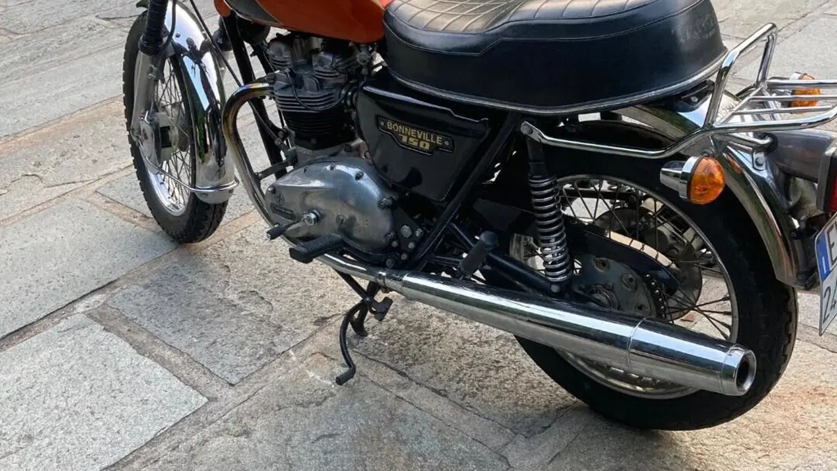 Triumph   (3)